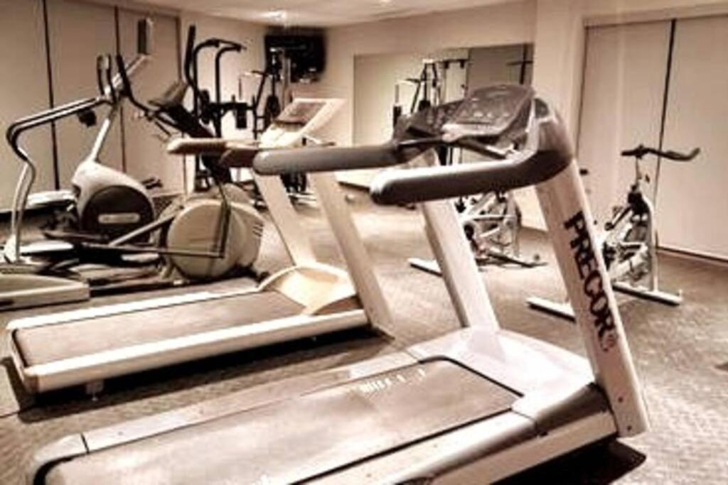 Cozy Spacious 1-Bdr Studio #8. Free Parking Gatineau Exterior foto